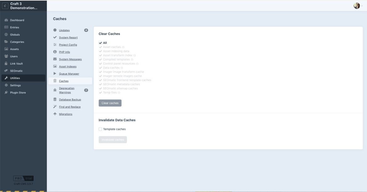 Caches view in Craft CMS Control Panel