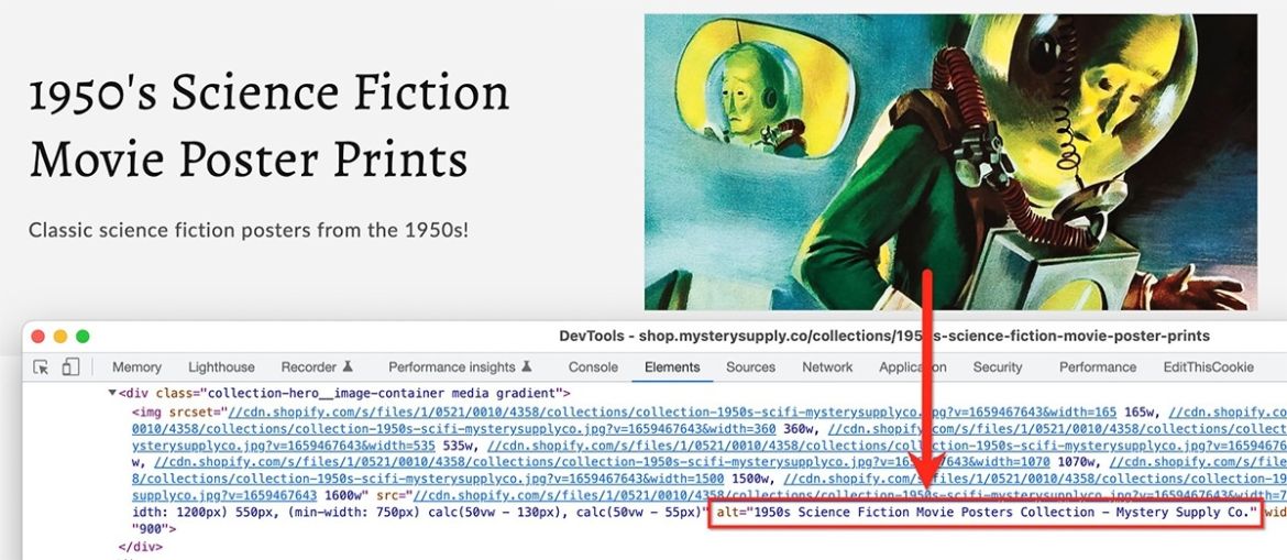 Shopify blank collection image alt tag fixed