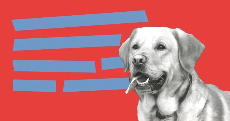 Introducing the Lab Reports Plugin for Craft CMS